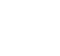 التفتيش متعدد الجودة